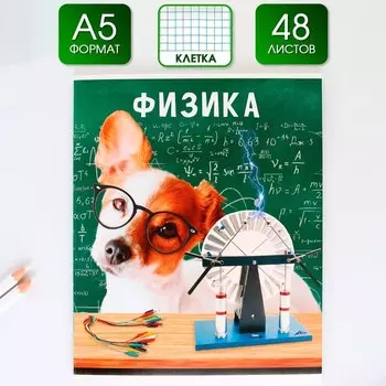 Тетрадь предметная 48 листов, А5, МИЛЫЕ ПИТОМЦЫ, со справочными материалами «1 сентября: Физика», обложка мелованный картон 230 гр внутренний блок в клетку белизна 96%,блок №1.