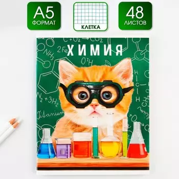 Тетрадь предметная 48 листов, А5, МИЛЫЕ ПИТОМЦЫ, со справочными материалами «1 сентября: Химия», обложка мелованный картон 230 гр внутренний блок в клетку белизна 96%,блок №1.
