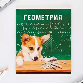 Тетрадь предметная 48 листов, А5, МИЛЫЕ ПИТОМЦЫ, со справочными материалами «1 сентября: Геометрия», обложка мелованный картон 230 гр., внутренний блок в клетку 80 гр., белизна 96%,блок №1.