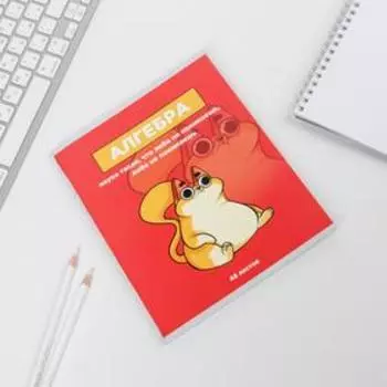 Тетрадь предметная 48 листов, А5, ПЕРСОНАЖИ, со справочными материалами «1 сентября: Алгебра», обложка мелованный картон 230 гр внутренний блок в клетку белизна 96%