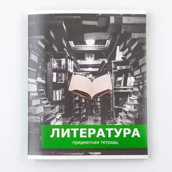 Тетрадь предметная 48 листов, А5, ПРЕДМЕТЫ, со справочными материалами «Литература», обложка мелованный картон 230 г внутренний блок в линей...