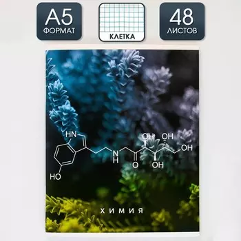 Тетрадь предметная 48 листов, А5, со справочными материалами «Химия», обложка мелованный картон 230 г внутренний блок в клетку