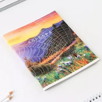 Тетрадь предметная 48 листов, А5, ПРИРОДА, со справочными материалами «Алгебра», обложка мелованный картон 230 г внутренний блок в клетку бел...