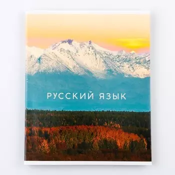 Тетрадь предметная 48 листов, А5, со справочными материалами «Русский язык», обложка мелованный картон 230 г внутренний блок в линейку