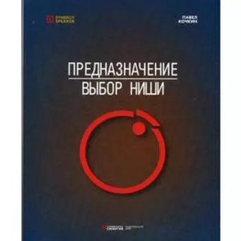 Предназначение: Выбор ниши. Кочкин П.В.