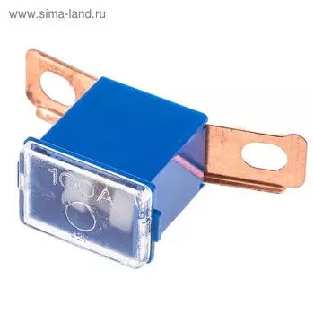 Предохранитель автомобильный Skyway 12V, тип картридж, 100А