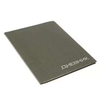 Премиум-дневник универсальный, для 1-11 класса VIGO "Балакрон", паутинка, платина