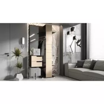 Прихожая «Визит 1», 950 × 360 × 2000 мм, цвет глянец капучино / венге