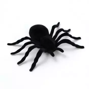 Паук прикол, набор, цвет чёрный