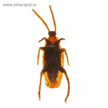 Прикол «Таракан», набор 12 шт.