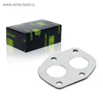 Прокладка приёмной трубы TRIALLI GZ1020110-2