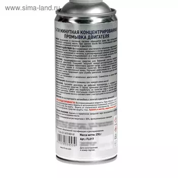 Промывка двигателя 5-тиминутная FILL INN, 520 мл