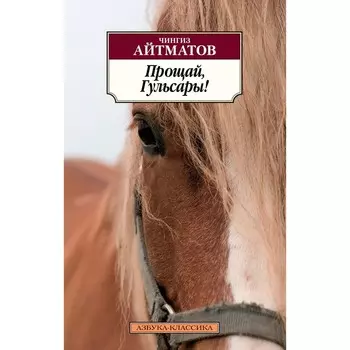 Прощай, Гульсары! Айтматов Ч.