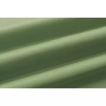 Простыня 1.5 сп «Моноспейс», размер 150х215 см, цвет зёленый