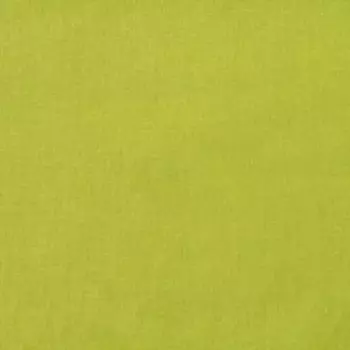 Простыня евромакси Цвет эмоций лайм 240х217см, поплин хл100%