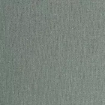 Простыня 2 спальная «Этель», 200215 см, зелёная, хлопок 100%, поплин