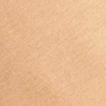 Простыня 2 спальная «Этель», 220215 см, бежевая, хлопок 100%, бязь