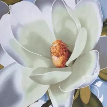 Простыня 1.5 спальная Этель «Кувшинки», 150220 см, хлопок 100%, бязь