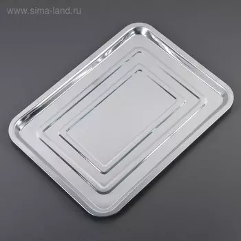 Противень, 39.529.5 см, нержавеющая сталь, хромированный