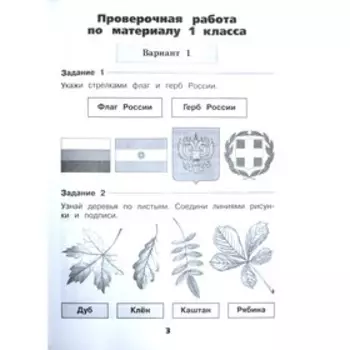 Проверочные работы. ФГОС. Окружающий мир, новое оформление, 2 класс. Плешаков А. А.