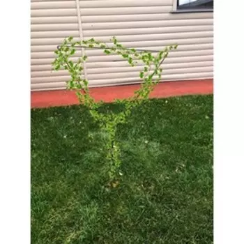 Проволочная опора «Треугольник», зелёная