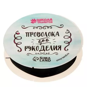Проволока для творчества и бисероплетения, d=0.4 мм, 10 м, чёрный