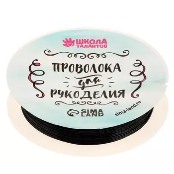 Проволока для творчества и бисероплетения, d=0.5 мм, 10 м, чёрный