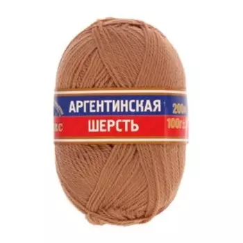 Пряжа для вязания спицами, крючком «Камтекс. Аргентинская шерсть», 100% импортная полутонкая шерсть 200 м/100 г, (005 бежевый)
