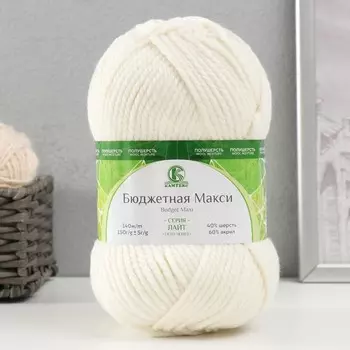 Пряжа "Бюджетная Макси" 40% шерсть, 60% акрил 140м/150гр (белый - 205)