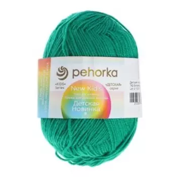 Пряжа "Детская новинка" 100% акрил 200м/50гр (742-Бильярд)