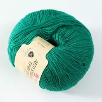 Пряжа "Детский каприз трикотажный" 50%меринос. шерсть, 50% фибра 400м/50гр (511 зелёнка)