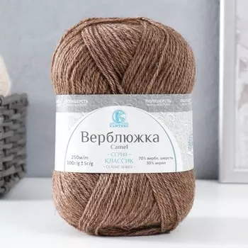 Пряжа для вязания "Верблюжка" акрил 30%,верблюж. шерсть 70% 250м/100гр (113 какао)