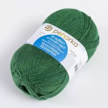 Пряжа "Кроссбред Бразилии" 50%меринос.шерсть, 50% акрил 500м/100гр (117-Киви)