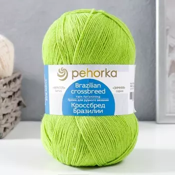 Пряжа "Кроссбред Бразилии" 50%меринос.шерсть, 50% акрил 500м/100гр (382-Яр.саванна)