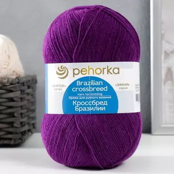 Пряжа "Кроссбред Бразилии" 50%меринос.шерсть, 50% акрил 500м/100гр (575 ярко-лиловый)