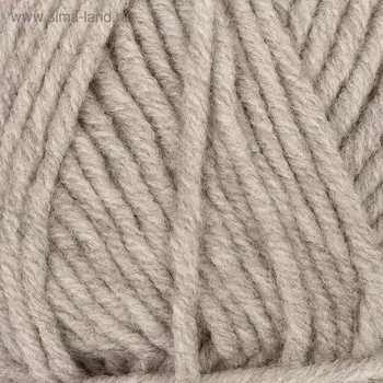 Пряжа "Lanagold plus" 49% шерсть, 51% акрил 140м/100гр (152 бежев. меланж)