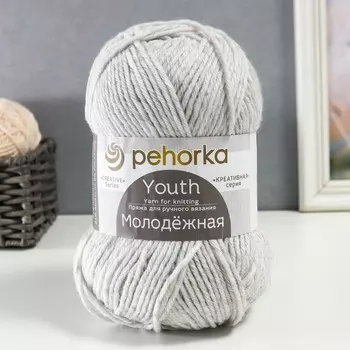Пряжа "Молодёжная" 91% акрил, 9% полиамид 280м/200гр (386-Св.серый меланж)