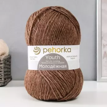 Пряжа "Молодёжная" 91% акрил, 9% полиамид 280м/200гр (517-Коричн.меланж)