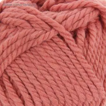 Пряжа "Осенняя" 25% шерсть, 75% ПАН 150м/200гр (21-Брусника)