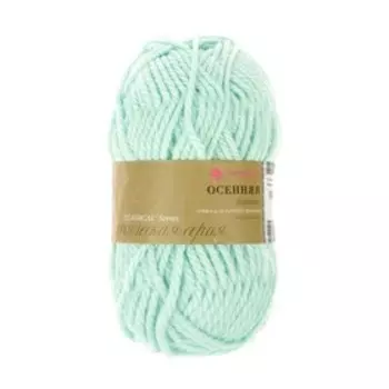 Пряжа для вязания спицами, крючком «Пехорский текстиль. Осенняя», 25% шерсть, 75% акрил высокообъемный, 150 м/200г, (222 голубая бирюза)