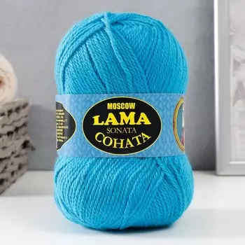 Пряжа "Соната" акрил 50%, шерсть п/т 50% 250м/100гр (024 бирюза)