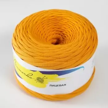 Пряжа трикотажная лицевая 100м/320±30гр, ширина нити 7-8 мм (Горчица)
