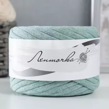 Пряжа трикотажная широкая 50м/160±20гр, ширина нити 7-9 мм (ментолов. меланж)