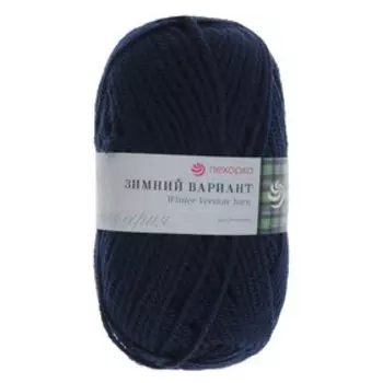 Пряжа "Зимний вариант" 95% имп.шерсть, 5% акрил объёмный 100м/100гр (571-Синий)