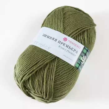 Пряжа "Зимняя премьера" 50%меринос.шерсть, 50% акрил объёмный 150м/100гр (494-Св.хаки)