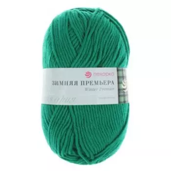 Пряжа "Зимняя премьера" 50%меринос.шерсть, 50% акрил объёмный 150м/100гр (742-Бильярд)