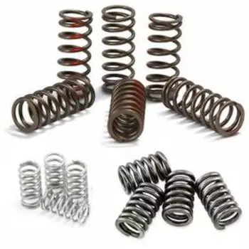 Пружины сцепления FERODO FSS0301