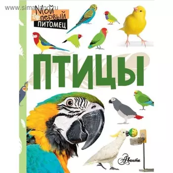 Птицы. Аронова Н. Л.