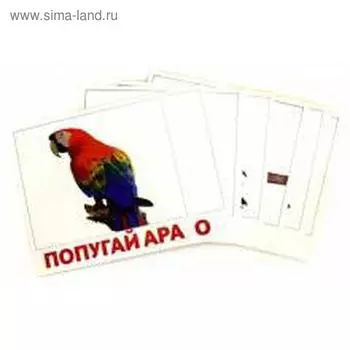 Птицы. Доман Г.