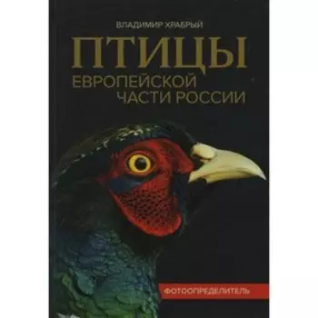 Птицы Европейской части России: фотоопределитель. Храбрый В.М.